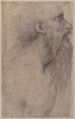 Bust of a Man with Long Beard (recto), Sodoma (Giovanni Antonio Bazzi) (Italian, Vercelli 1477–1549 Siena), Black chalk